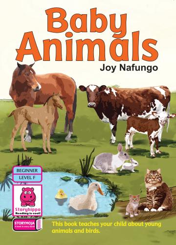 Baby Animals